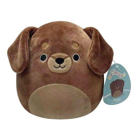 neuveden: Squishmallows Jezevčík Flaxy 20 cm