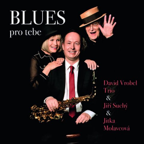 Vrobel David, Suchý Jiří, Molavcová Jitka: BLUES pro tebe - CD Vrobel David, Suchý Jiří, Molavcová Jitka: BLUES pro tebe - CD