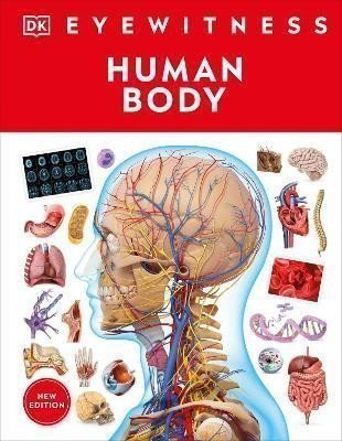 Dorling Kindersley: Eyewitness Human Body