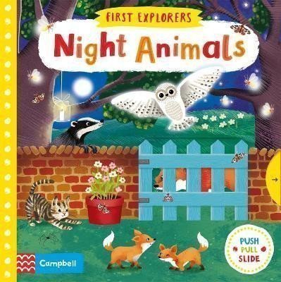 Wren Jenny: Night Animals