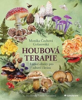 : Houbová terapie - Léčivé elixíry pro zdraví a krásu