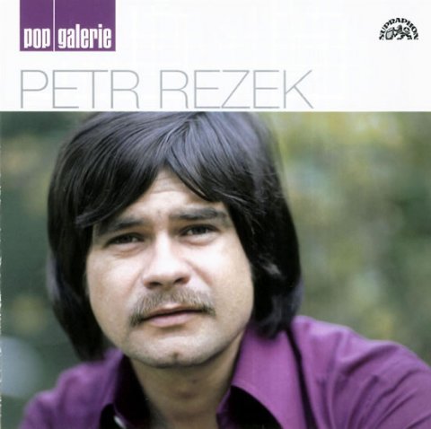 Rezek Petr: Petr Rezek - pop galerie CD Rezek Petr: Petr Rezek - pop galerie CD