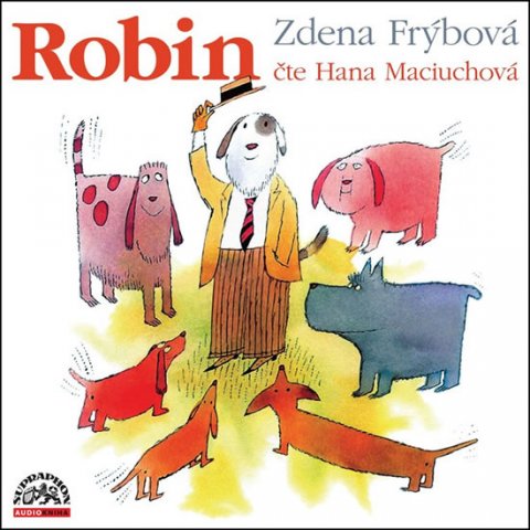 Frýbová Zdena: Robin - CD (Čte Hana Maciuchová) Frýbová Zdena: Robin - CD (Čte Hana Maciuchová)