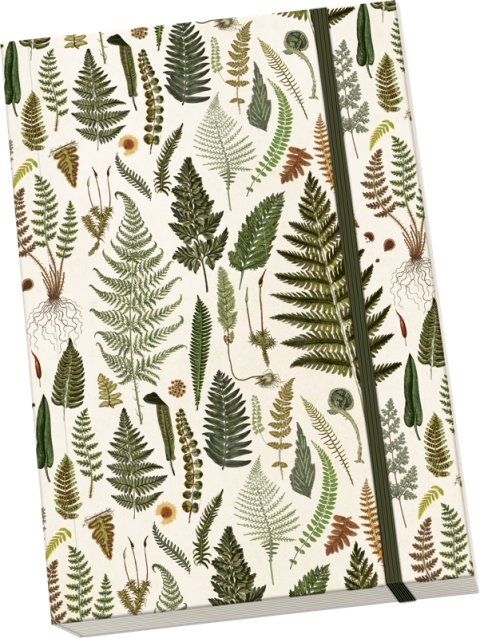 -: Notýsek Ferns