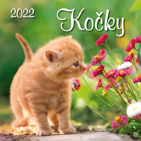 neuveden: Kalendář 2022 - Kočky, nástěnný
