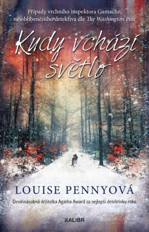Pennyová Louise: Kudy vchází světlo Pennyová Louise: Kudy vchází světlo