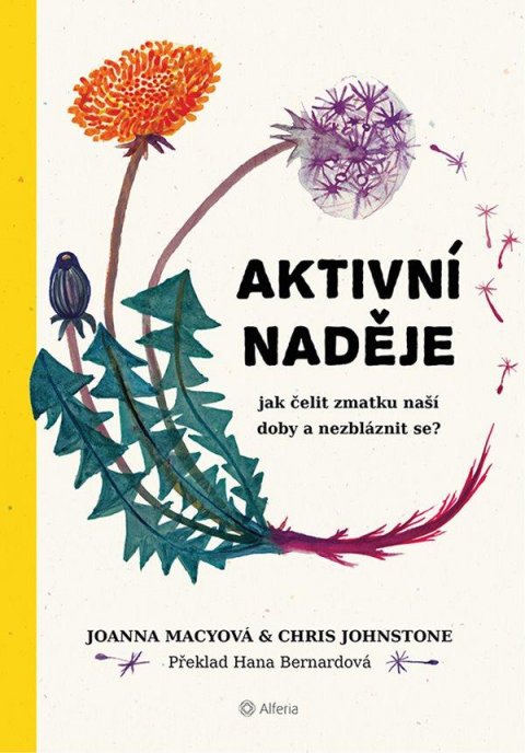 Macyová Joanna: Aktivní naděje - Jak čelit zmatku naší doby a nezbláznit se