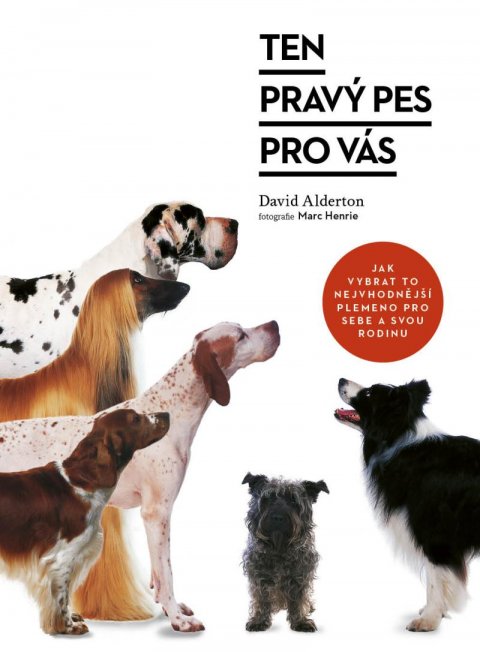 Alderton David: Ten pravý pes pro vás