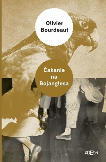 Bourdeaut Olivier: Čakanie na Bojanglesa