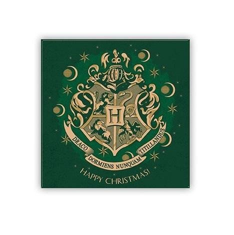 neuveden: Harry Potter Magnet - Bradavice (zelený)