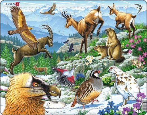 neuveden: Puzzle MAXI - Zvířata na horách/55 dílků