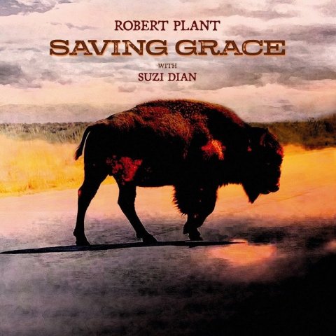 Plant Robert: Saving Grace - LP