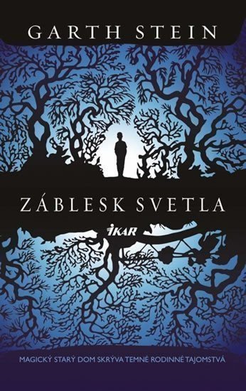 Stein Garth: Záblesk svetla - Magický starý dom skrýva temné rodinné tajomstvá