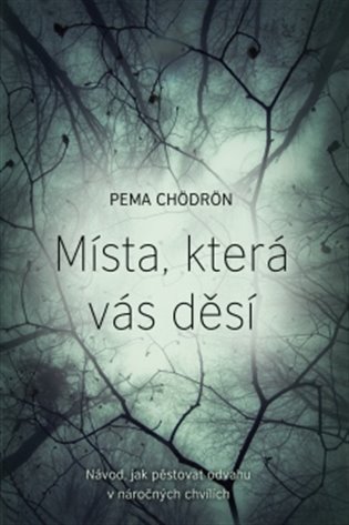 Chödrön Pema: Místa, která vás děsí - Návod, jak pěstovat odvahu v náročných chvílích