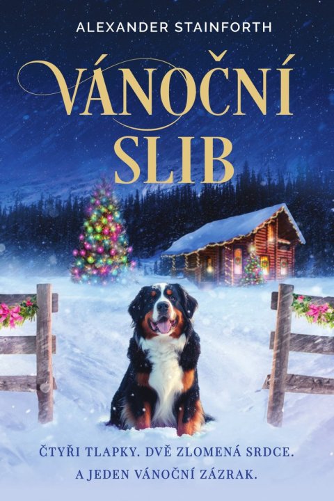 Stainforth Alexander: Vánoční slib Stainforth Alexander: Vánoční slib