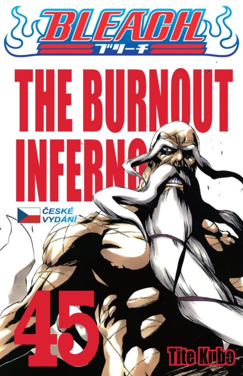 -: Bleach 45: The Burnout Inferno