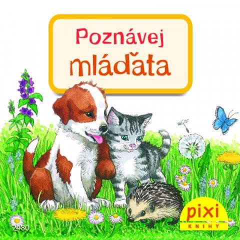 Leintz Laura: Poznávej mláďata Leintz Laura: Poznávej mláďata