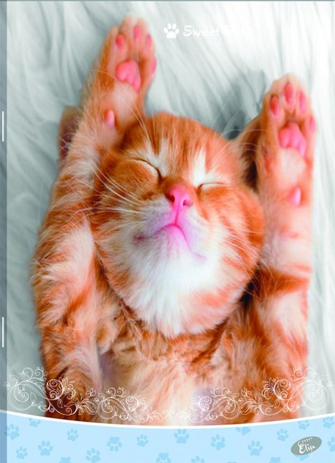 neuveden: Elisa sešit A4 linkovaný - Mláďata 40 listů mix 6 motivů