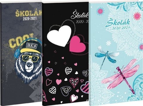neuveden: Diář Školák Dream