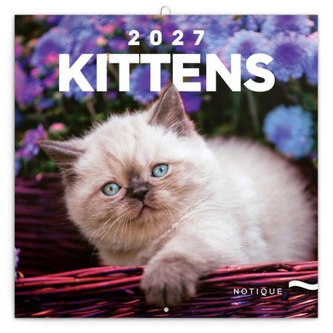-: Kalendář 2027 poznámkový: Koťata 2027, 30 x 30 cm