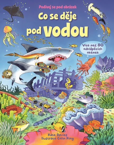 Davies Kate: Co se děje pod vodou - Podívej se pod obrázek