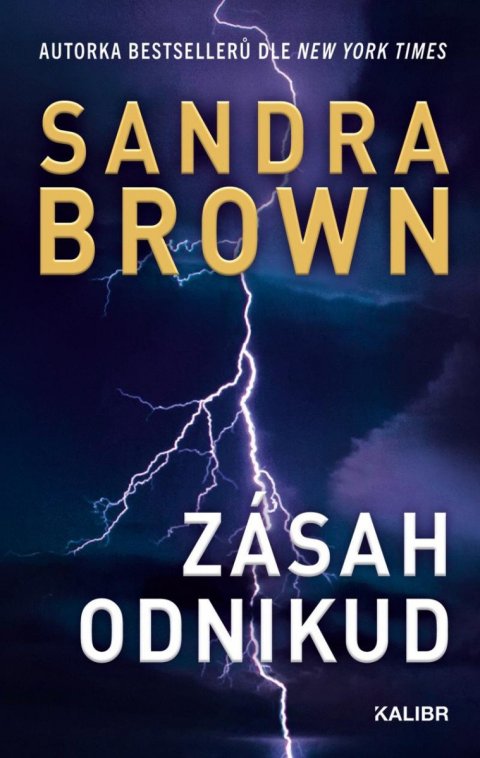 Brown Sandra: Zásah odnikud Brown Sandra: Zásah odnikud