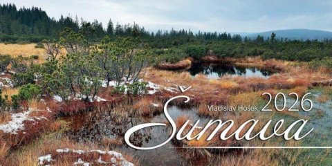 Hošek Vladislav: Kalendář 2026 - Šumava stolní čtrnáctidenní