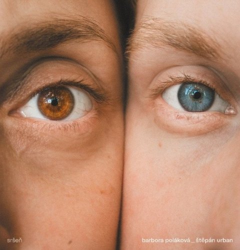 Poláková Barbora: Sršeň - CD