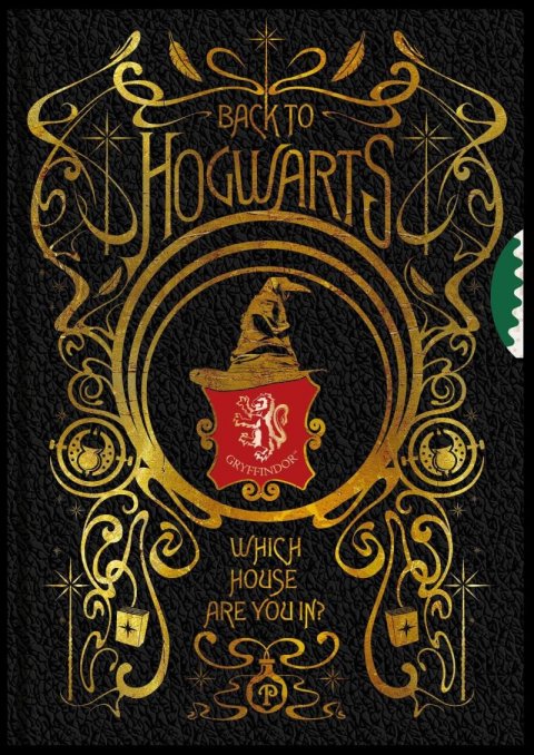 neuveden: Harry Potter Zápisník - Spinner