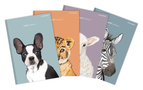 -: Záznamní kniha A4, 96l, 70g, čtverečkovaná - Animal (mix)