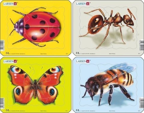 neuveden: Puzzle MINI - Beruška, motýl, mravenec, včela/5 dílků (4 druhy)