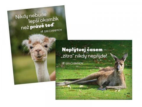 Chinmoy Sri: Magnet na lednici 2 ks Neplýtvej časem + Nikdy nebude