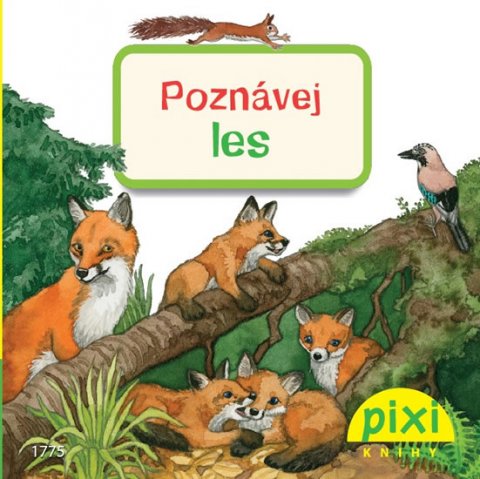 Thörner Cordula: Poznávej les