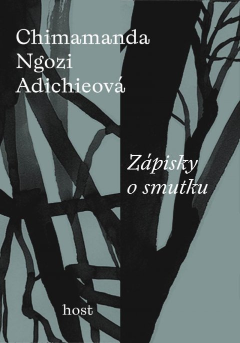 Ngozi Adichie Chimamanda: Zápisky o smutku