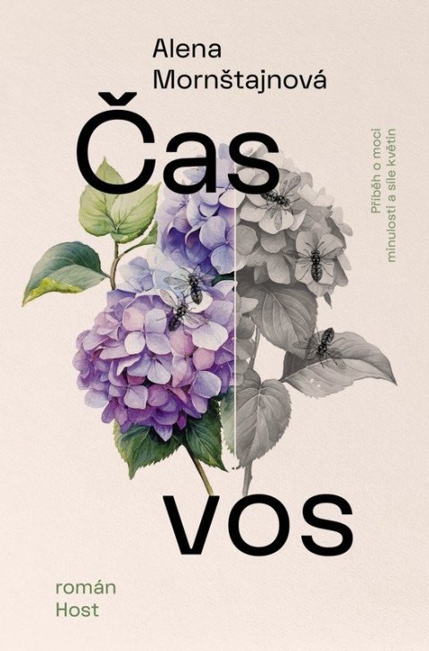 Mornštajnová Alena: Čas vos