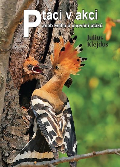 Klejdus Julius: Ptáci v akci aneb kniha o chování ptáků