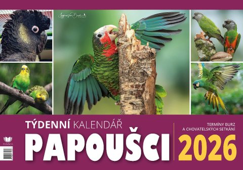 neuveden: Kalendář 2026 Papoušci - stolní, týdenní