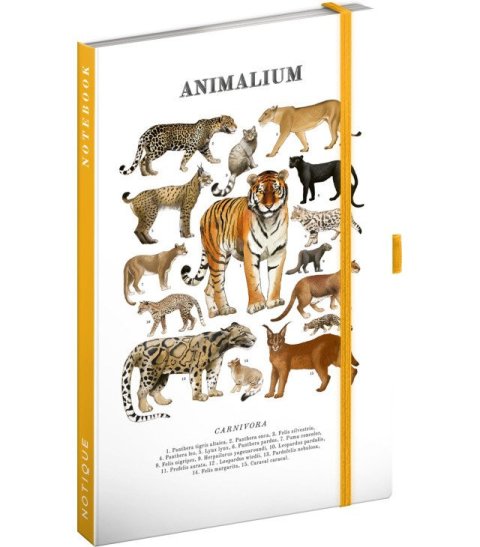 : Notes Animalium - Kočkovité šelmy, linkovaný, 13 x 21 cm