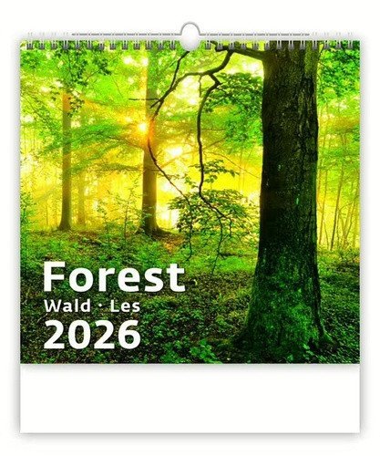 neuveden: Kalendář nástěnný 2026 - Forest/Wald/Les