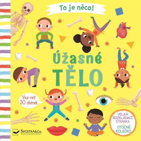 Lee Lon: Úžasné tělo - To je něco! Lee Lon: Úžasné tělo - To je něco!