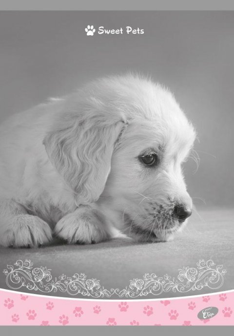 neuveden: Elisa sešit A5 linkovaný - Mláďata 40 listů mix 6 motivů