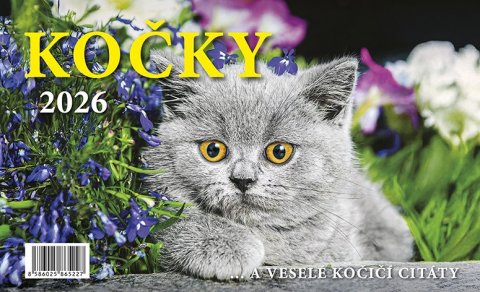 neuveden: Kalendář 2026 Kočky, stolní, 23 x 14 cm