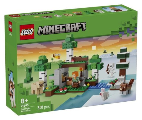 : LEGO® Minecraft®  21593 První noční dobrodružství