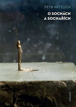 Wittlich Petr: O sochách a sochařích