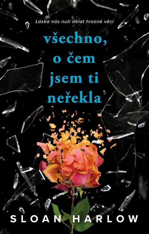 Harlow Sloan: Všechno, o čem jsem ti neřekla Harlow Sloan: Všechno, o čem jsem ti neřekla
