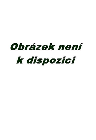 Budinský Václav: Hlazení duše (v anglickém jazyce) Budinský Václav: Hlazení duše (v anglickém jazyce)