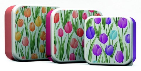 -: Svačinový box 3ks - M/L/XL - Tulipány