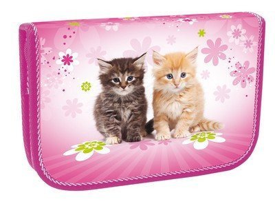 neuveden: Školní penál jednopatrový - Cats