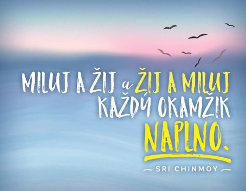 Chinmoy Sri: Magnet na lednici - Miluj a žij a žij a miluj každý okamžik naplno Chinmoy Sri: Magnet na lednici - Miluj a žij a žij a miluj každý okamžik naplno