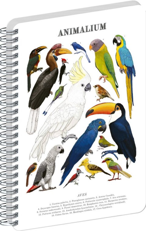 : Spirálový blok Animalium - Ptáci, čistý, A5